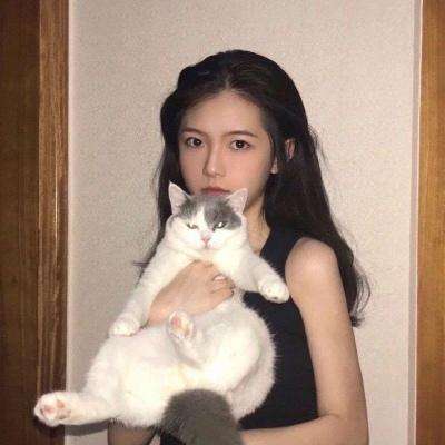 单挑三国志官方版下载